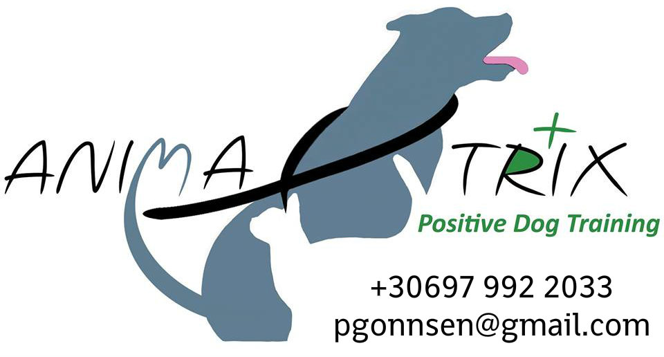 animaltrix2020ce98ceb5cf84ceb9cebaceae20ceb5cebacf80ceb1ceafceb4ceb5cf85cf83ceb720cf83cebacf8dcebbcf89cebd2020ce93cebacf8ccebdceb6ceb5cebd20cea0ceaecf84ceb5cf81-6