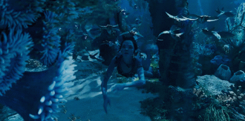 avatar-avatar2
