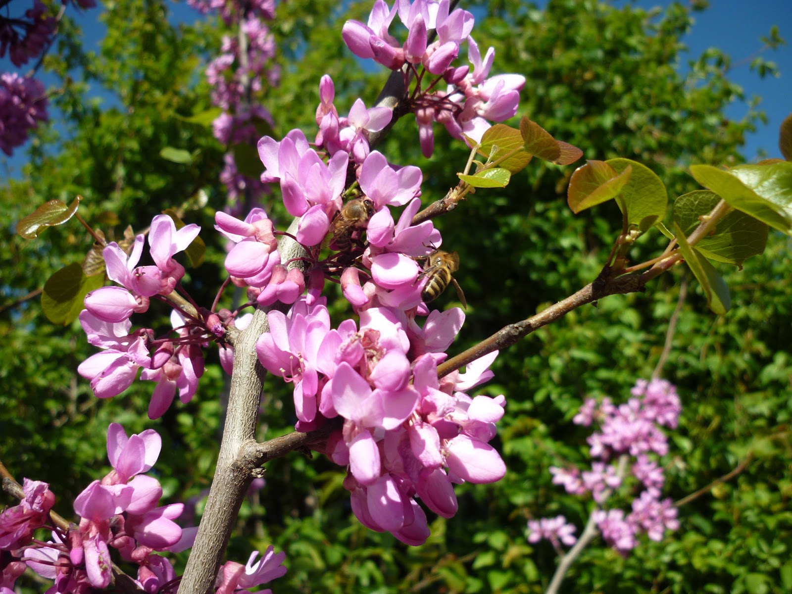 cebacebfcf85cf84cf83cebfcf85cf80ceb9ceb1-cf80cf81cebfcf86ceb9cebb