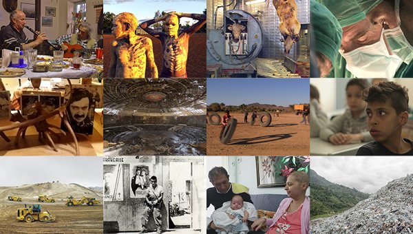 collage_psillakis_geyrhalter