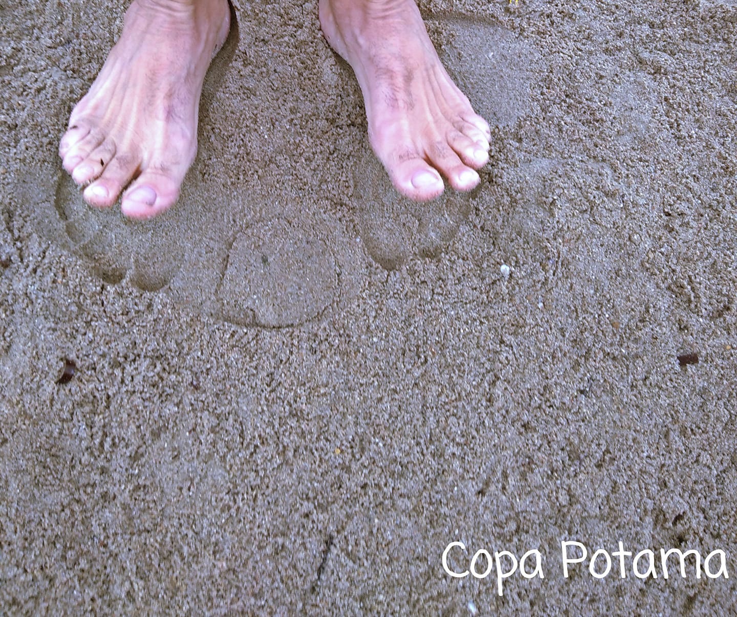 copa20potama