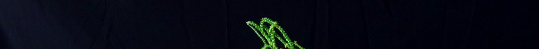 img_1514201204
